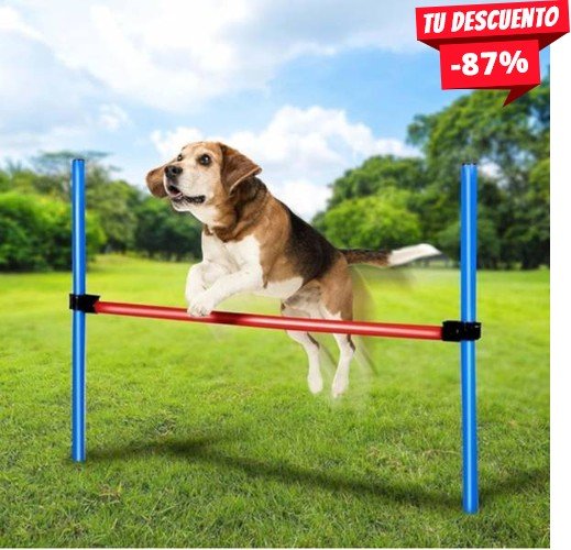 CONJUNTO AGILIDAD PARA PERROS MAXXPRO