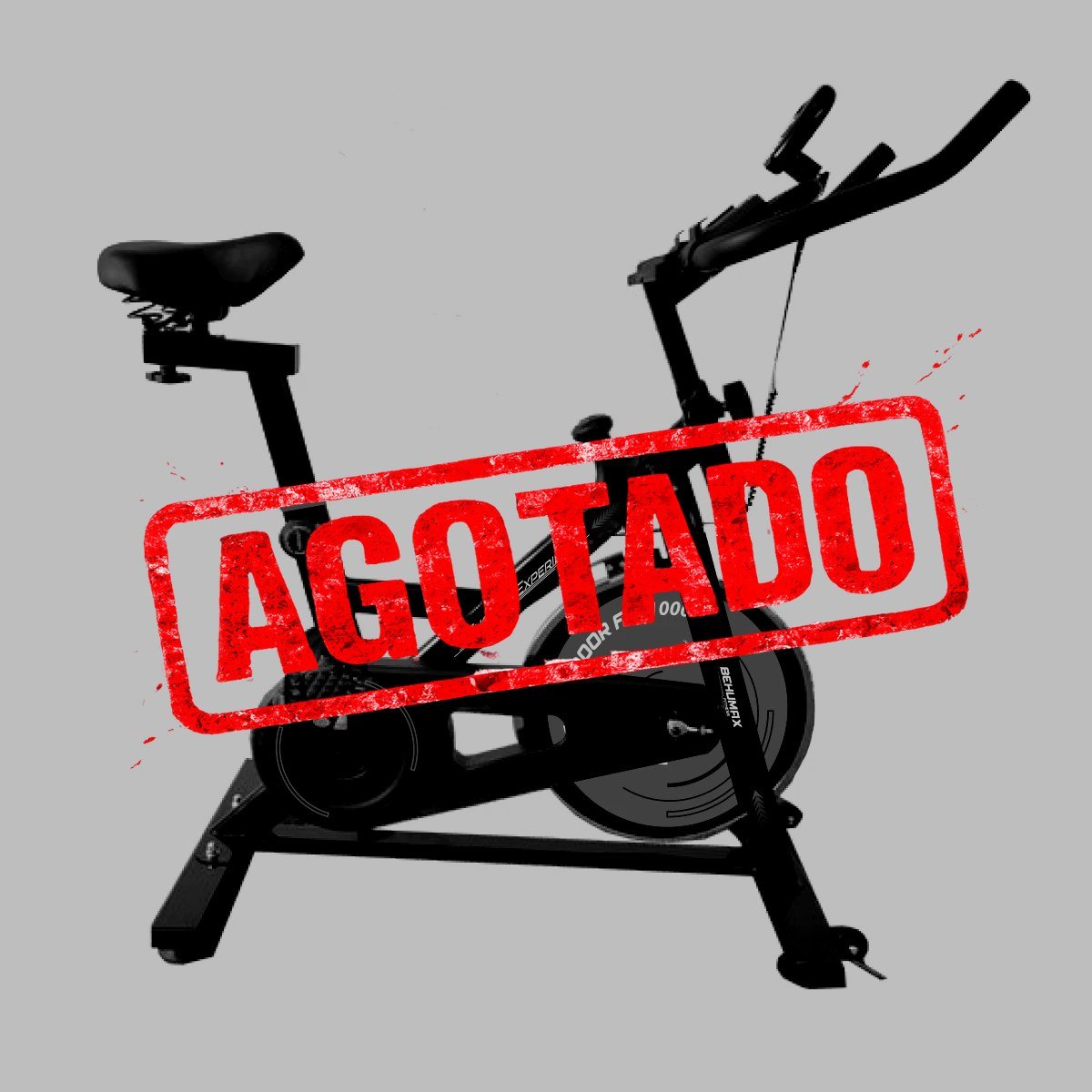 CICLO INDOOR FIT 1000